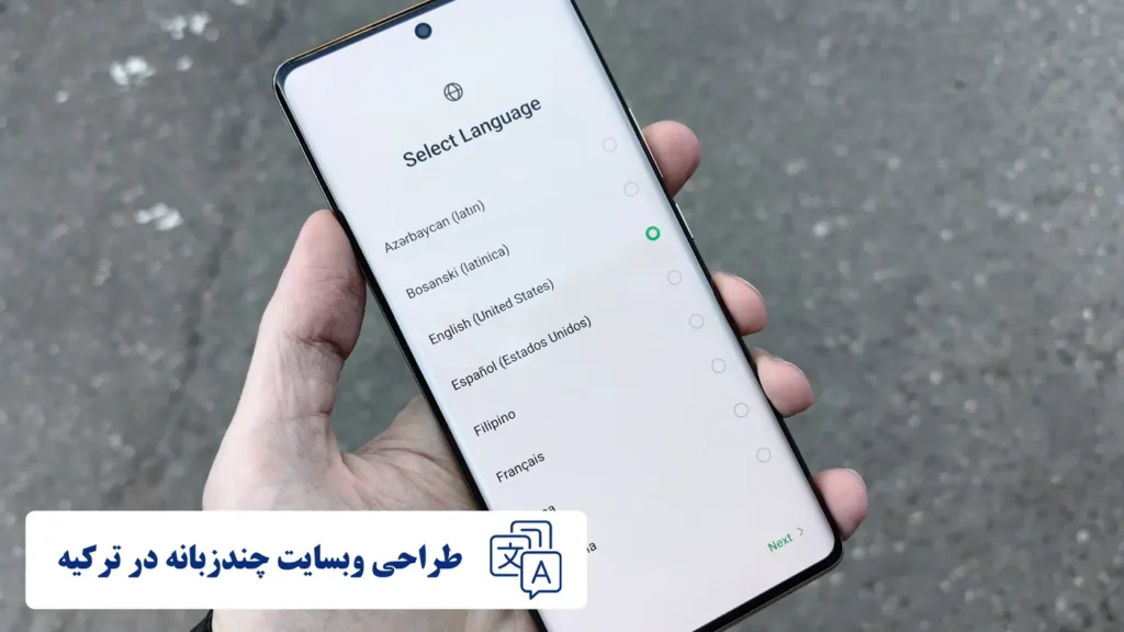 طراحی وبسایت چندزبانه در ترکیه