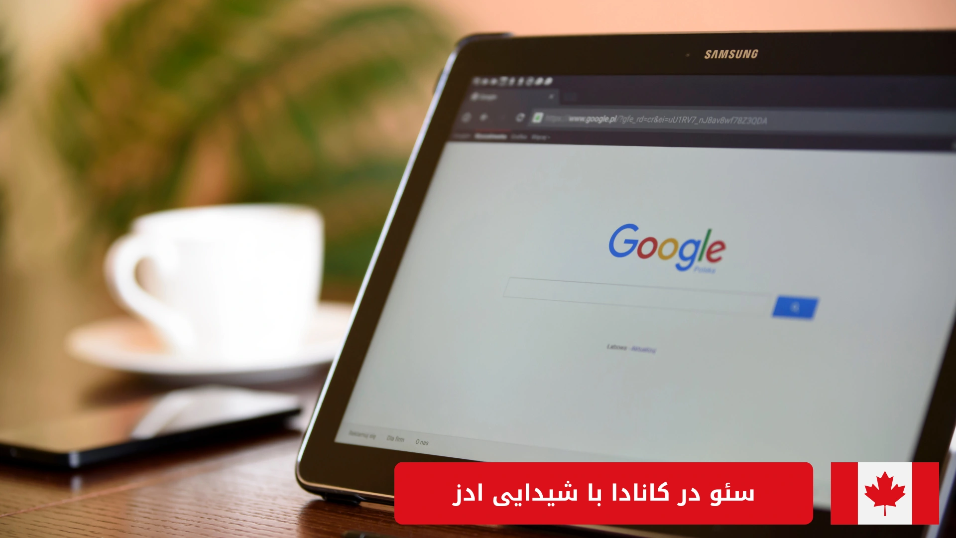 سئو در کانادا 